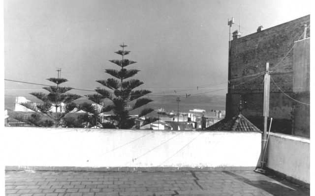A terrace and pine trees at the American Legation in Tangier, in a black and white photograph