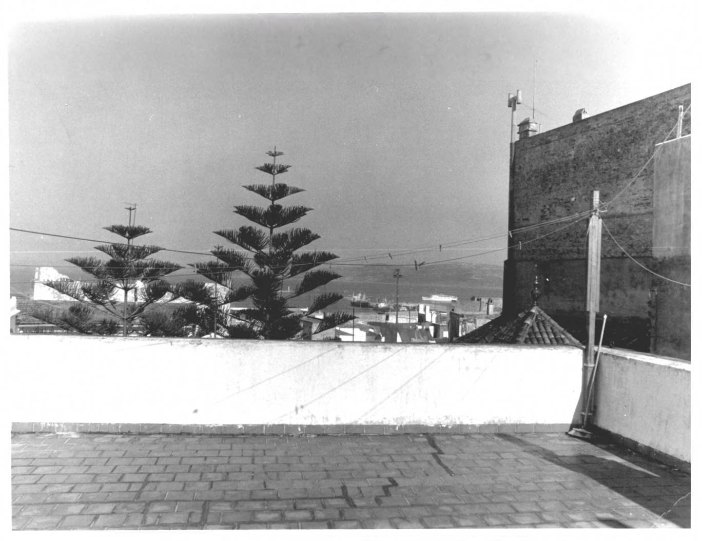A terrace and pine trees at the American Legation in Tangier, in a black and white photograph
