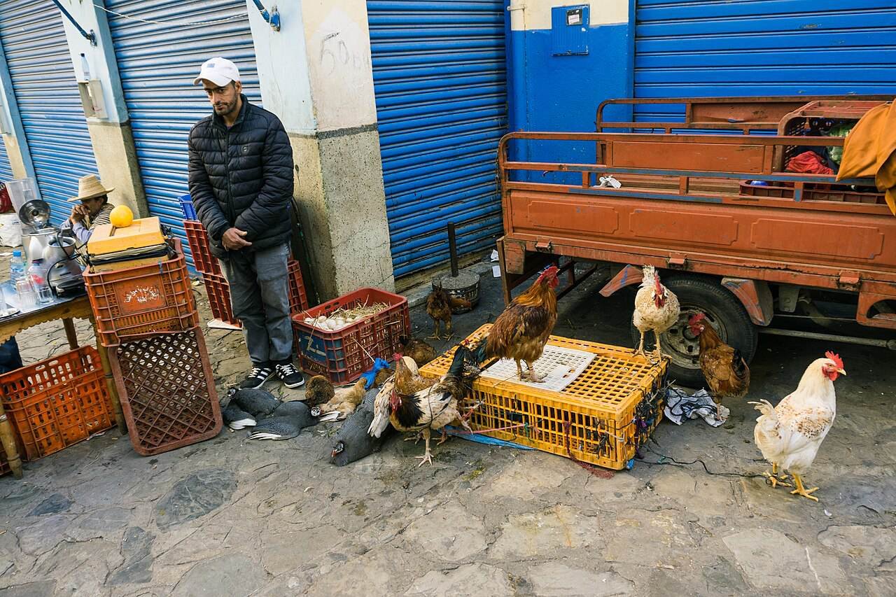 A busy lane in Tangier’s medina with stalls and blue shutters