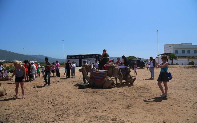 Visitors and camels on the beach at Achakkar near Tangier